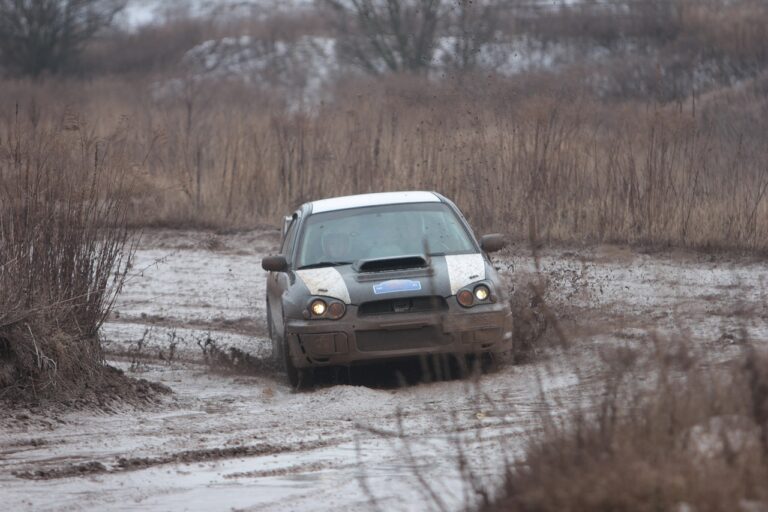 Analyzing the Benefits of Car Subscription Services for Remote Communities