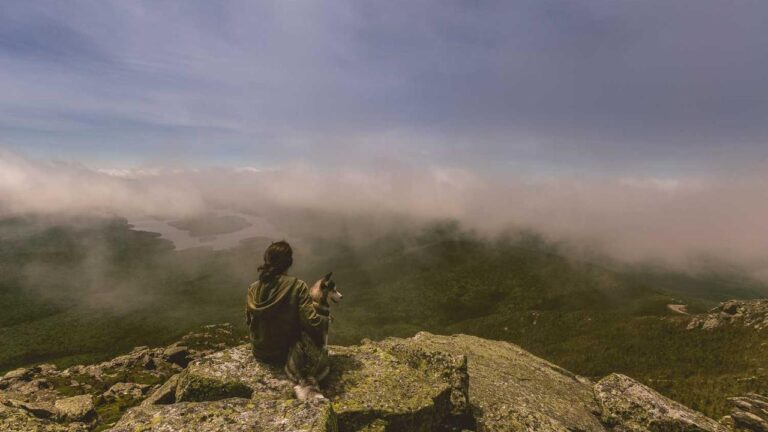 How To Register And Log In On Cricbet99 Win?